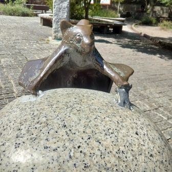 🌸その辺の草🌸