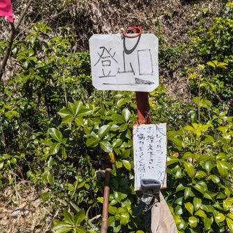 急斜面の登山道を慎重に下山しました⛰️