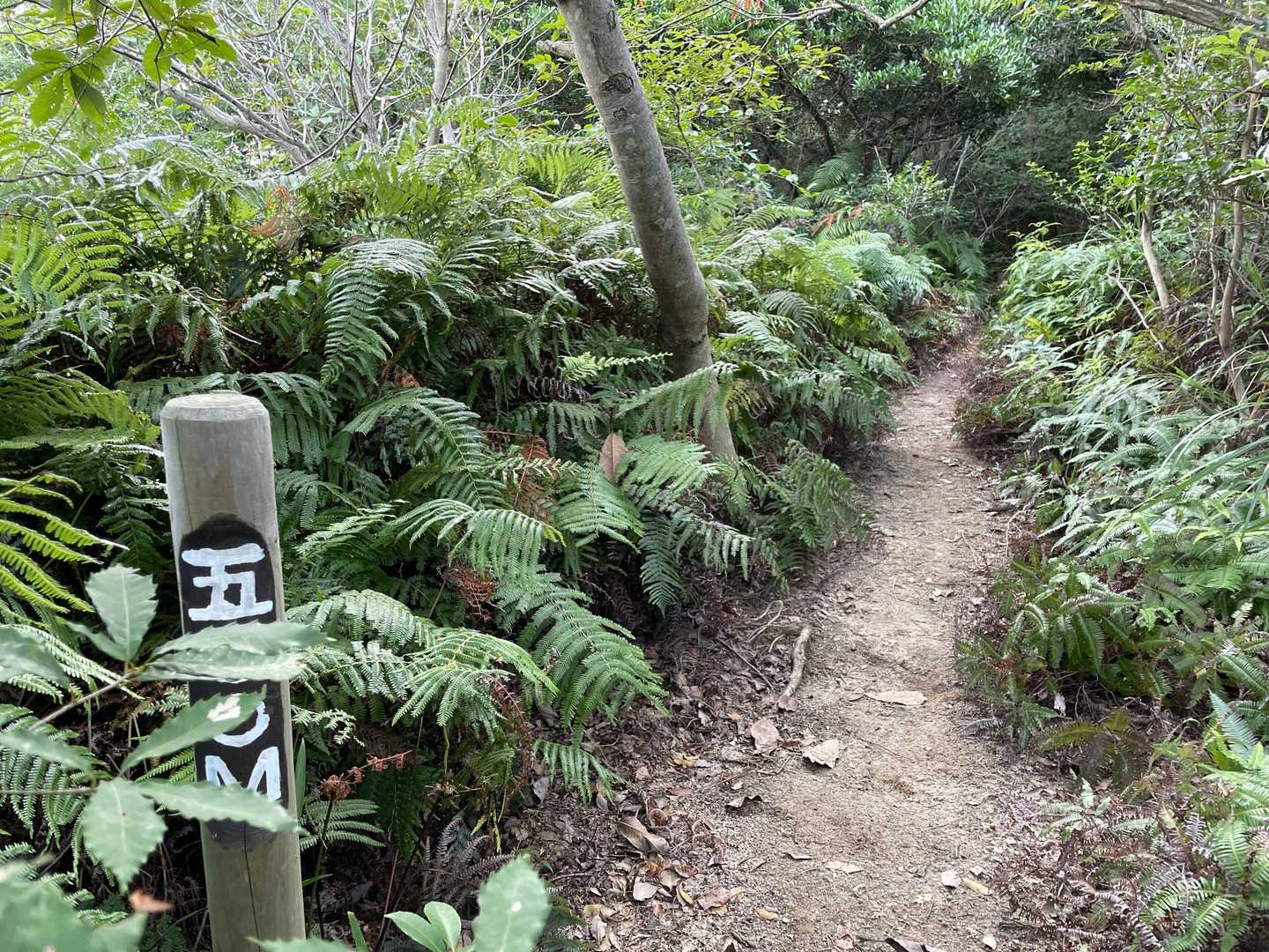 500m
標高じゃなかったらしい😁
