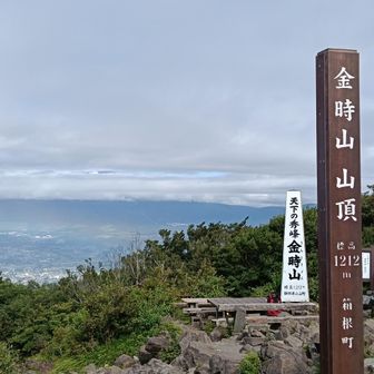 富士山🗻はほとんど雲の中