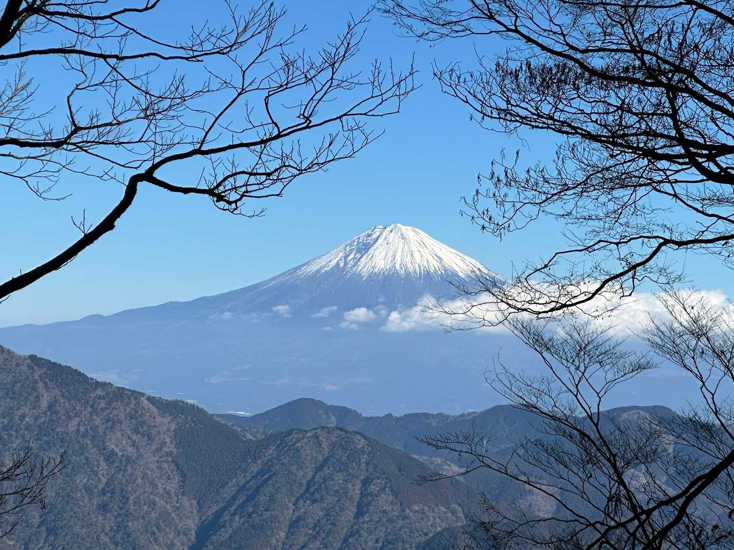 そして！絵に描いたような富士山も見えてきた❗️