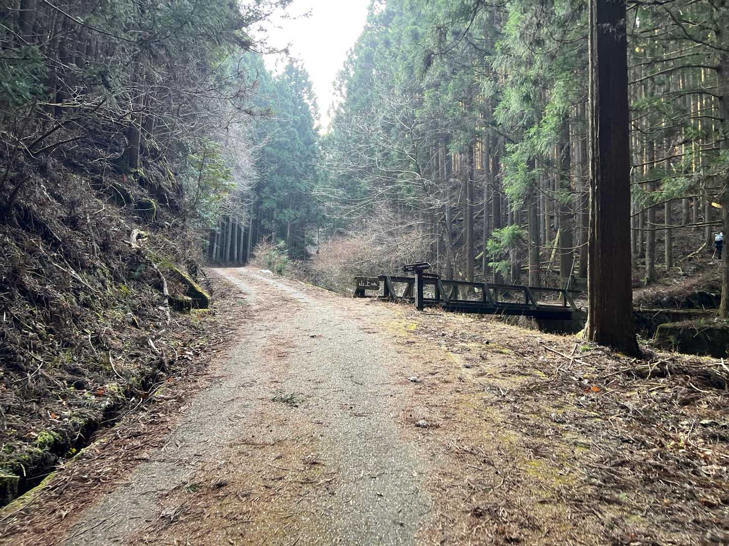 三畝峠-不動滝-三峰山 周回コースの写真