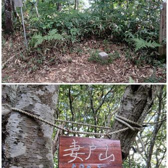 双耳峰の片方だと思っていた妻戸山😅
樹林の中で展望無し