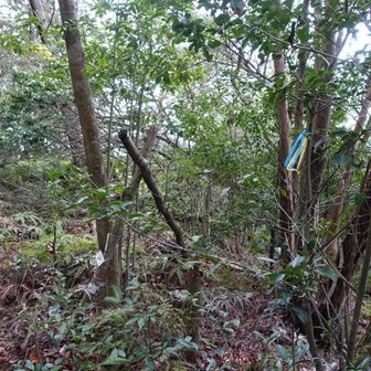 藤尾奥山に立ち寄って