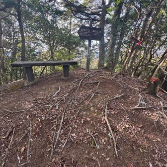 ゾウタ山山頂⛰️