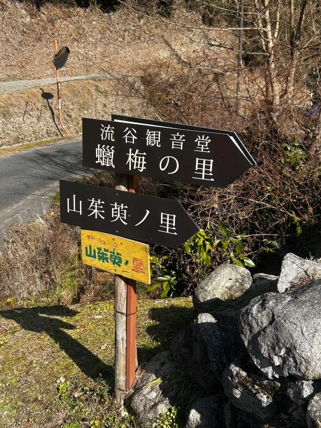 低山なめたらあかん！と、再確認したお山たちでした🫢
まぁ、体よりも気を張ることが多く疲れましたが、今となれば楽しいお山でした♪
そして、メインの蝋梅の里に到着！