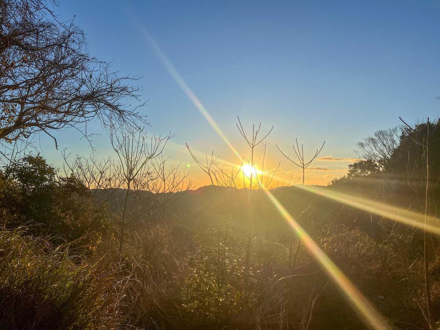 太陽が上がりました☀️