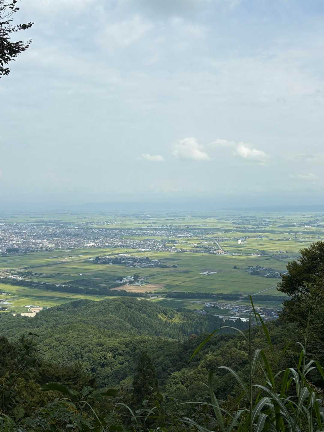 金峯山 往復コースの写真