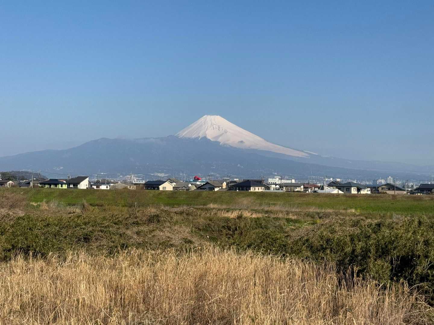 何度も撮ってしまう📸