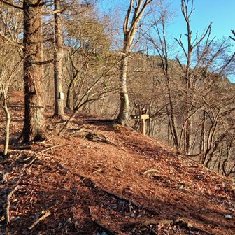 道坂峠まで登ると強烈な朝日が照りつけてきた