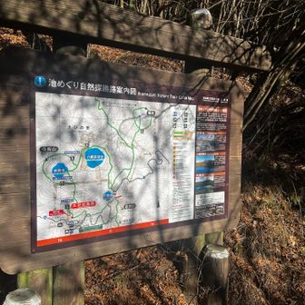 参りますo(｀ω´ )o