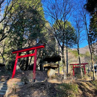 神社の脇から失礼します⛩️
