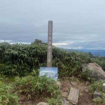 ２〜３山を越えて山頂に到着