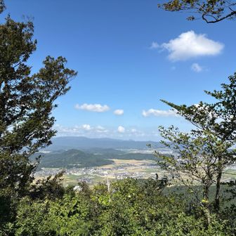風力発電の風車見えるよ