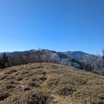 樹氷がなくなってしまった