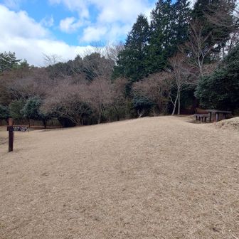 千条の滝・小涌谷への分岐
ゴルフ場みたいというのはこの辺りのことでしょうか。
ベンチもありますね。