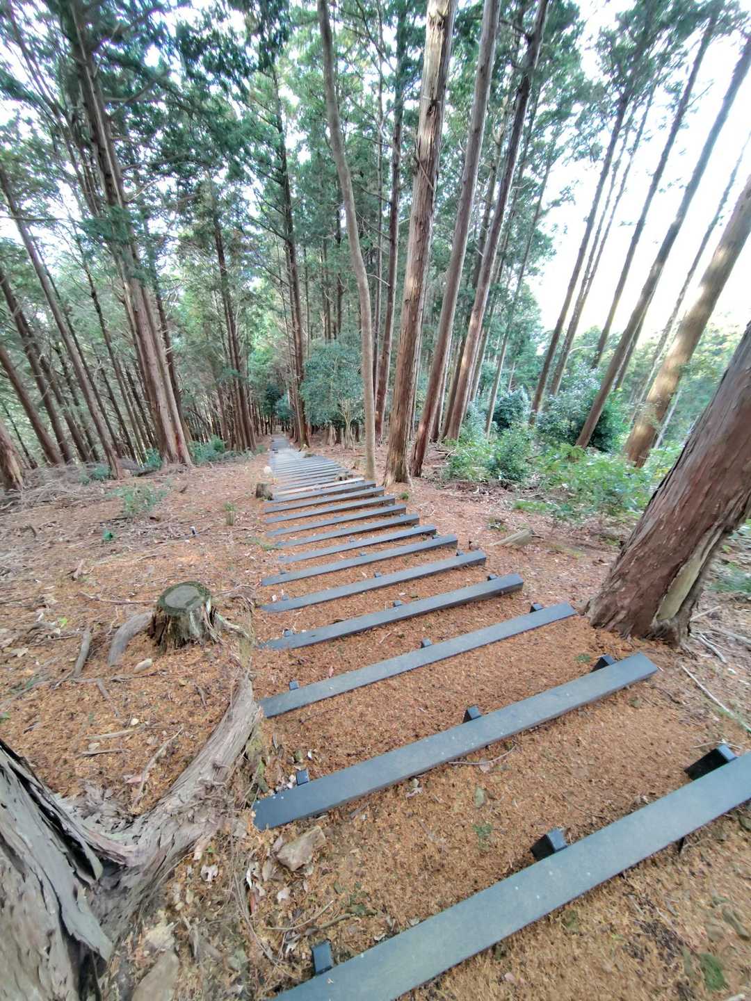 108段の首羅階段。
登ると煩悩がなくなったぁ？