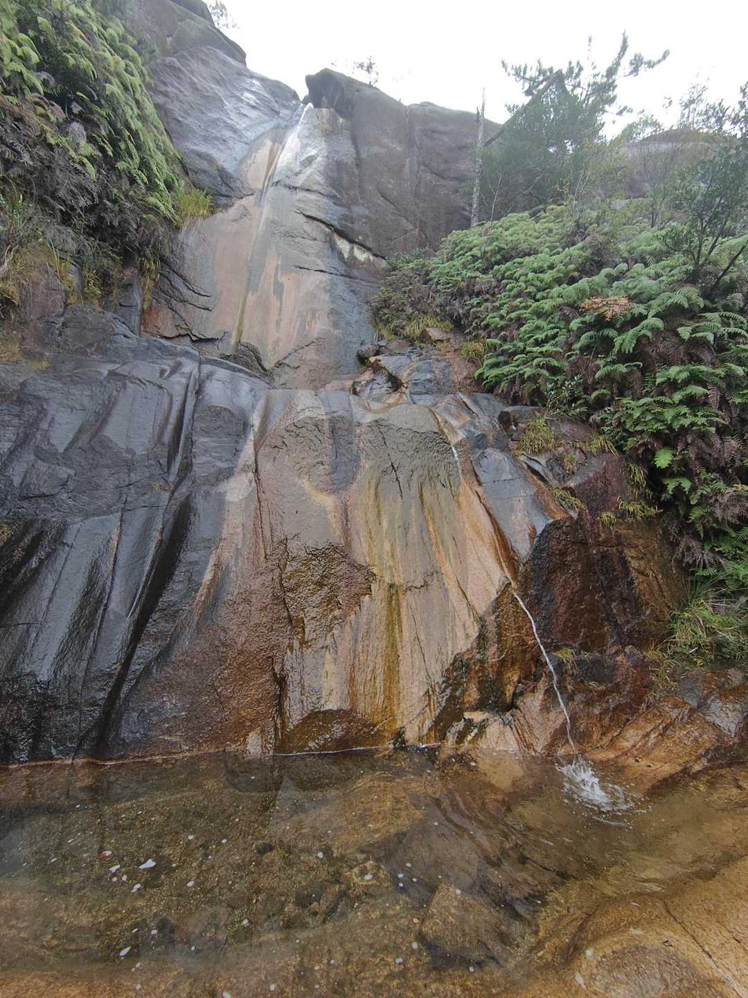 上桐生登山口-鶏冠山 往復コースの写真