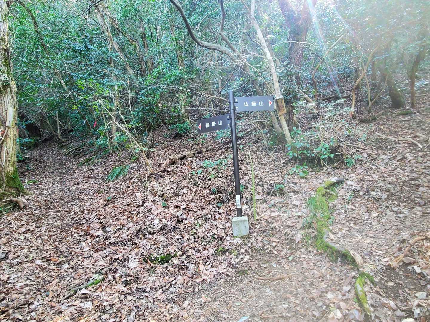 仏経山 往復コースの写真