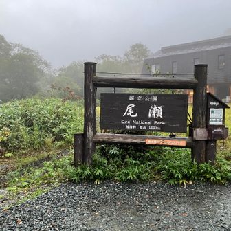 尾瀬
鳩待峠に着きました。
後ろは星野リゾートの山小屋LUCY尾瀬鳩待