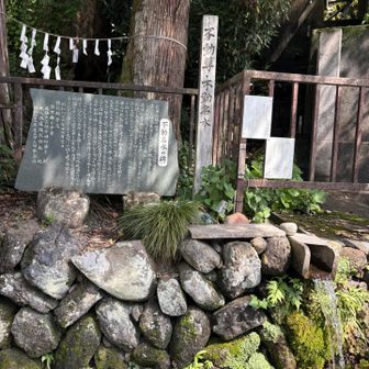 お水がおいしい