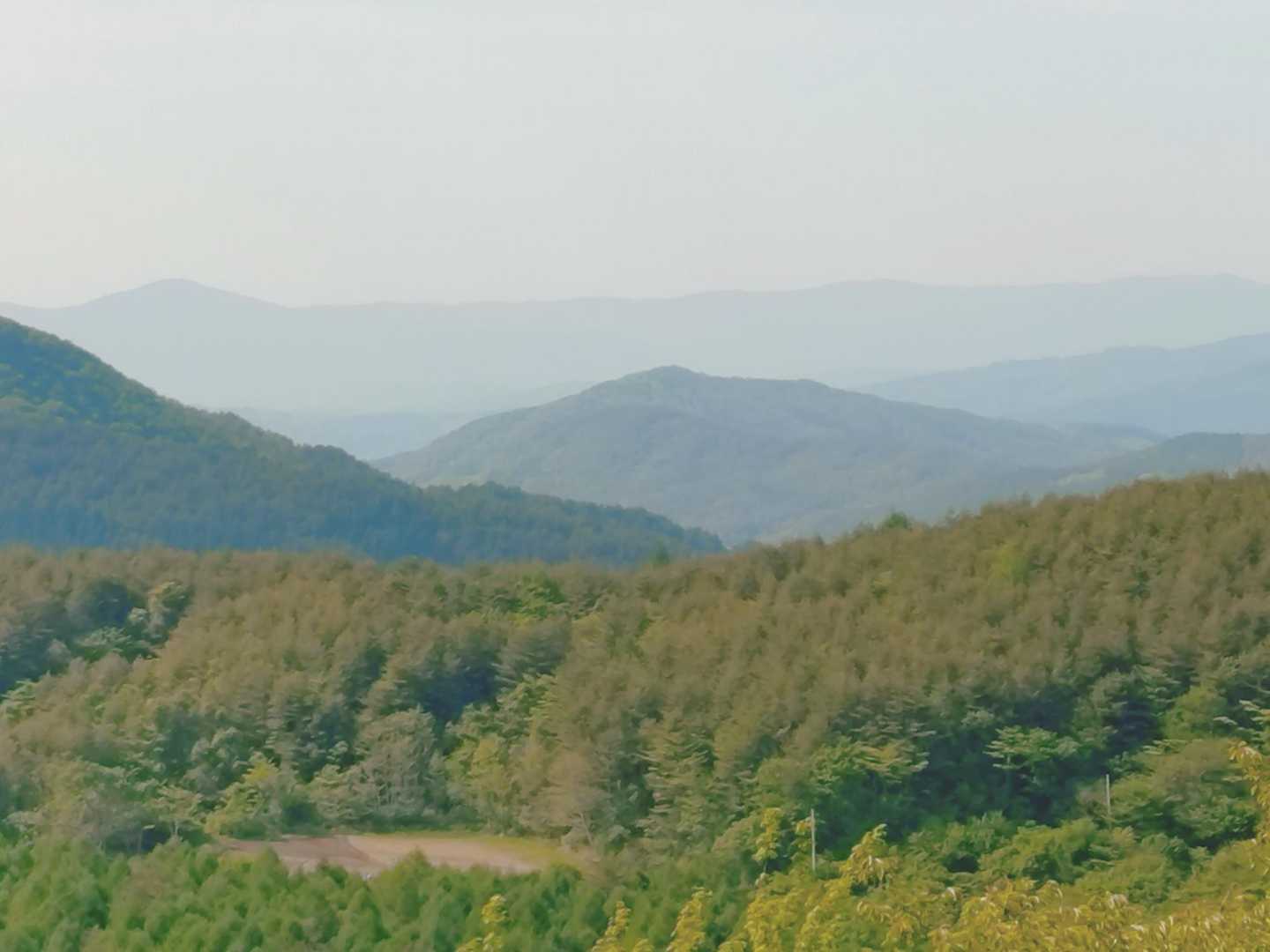 矢越山

ここから見る
室根山の景色も良いですよ👍