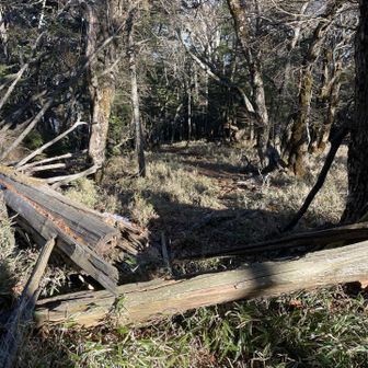 でも、今日は本栖湖サーキット。波線ルートで周回に向かいます