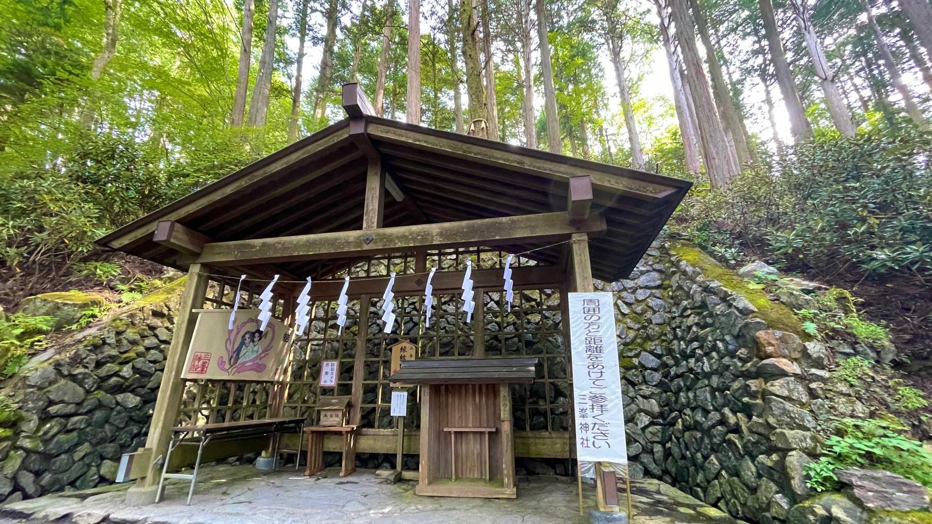 縁結びの木🥰