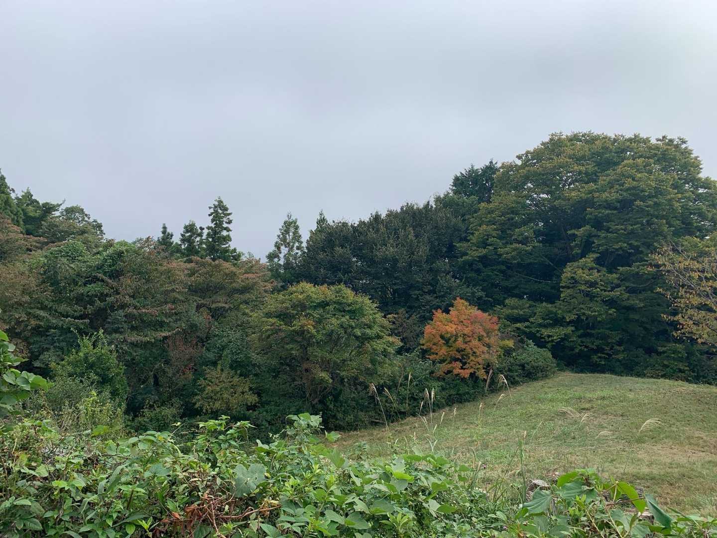 城山の広場　ちょっと紅葉始まった