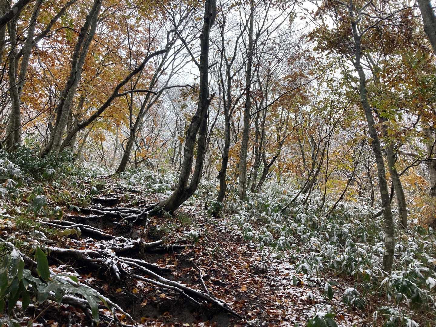 雪が降ってきました⛄️
濡れると低体温症になるのでとりあえず上だけレインを着ます😉