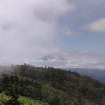 富士山が少し…
