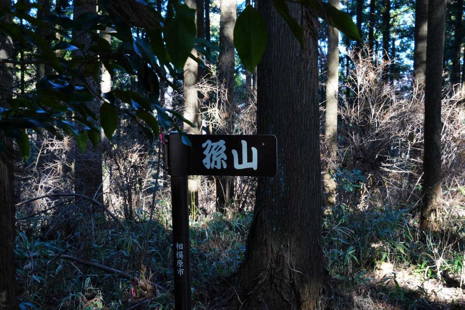 天守閣跡-北高尾富士見台-板当山-板当峠-狐塚峠-杉ノ丸- 縦走コースの写真
