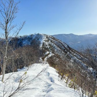 山頂に向かって気持ちイイ尾根歩き

もっと雪積もればサイコー❄️