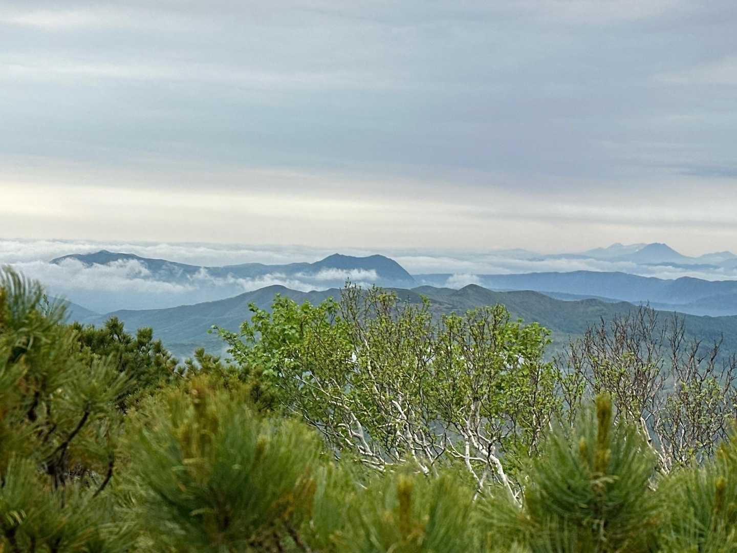 西別岳から摩周岳　そして背後には雌阿寒岳、雄阿寒岳　ダニさえいなければ最高だ