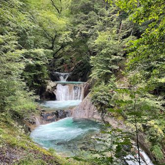 メインディッシュ、七ツ釜五段の滝！
相変わらずとてもきれい✨