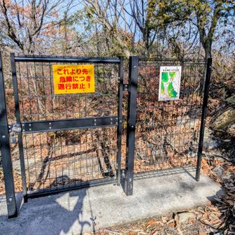 地元の方のような？年配の女性の方にここまで案内して頂き、ここでお別れしました。ありがとうございました🙏