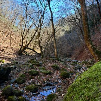 寂しい感じもまた良きかな