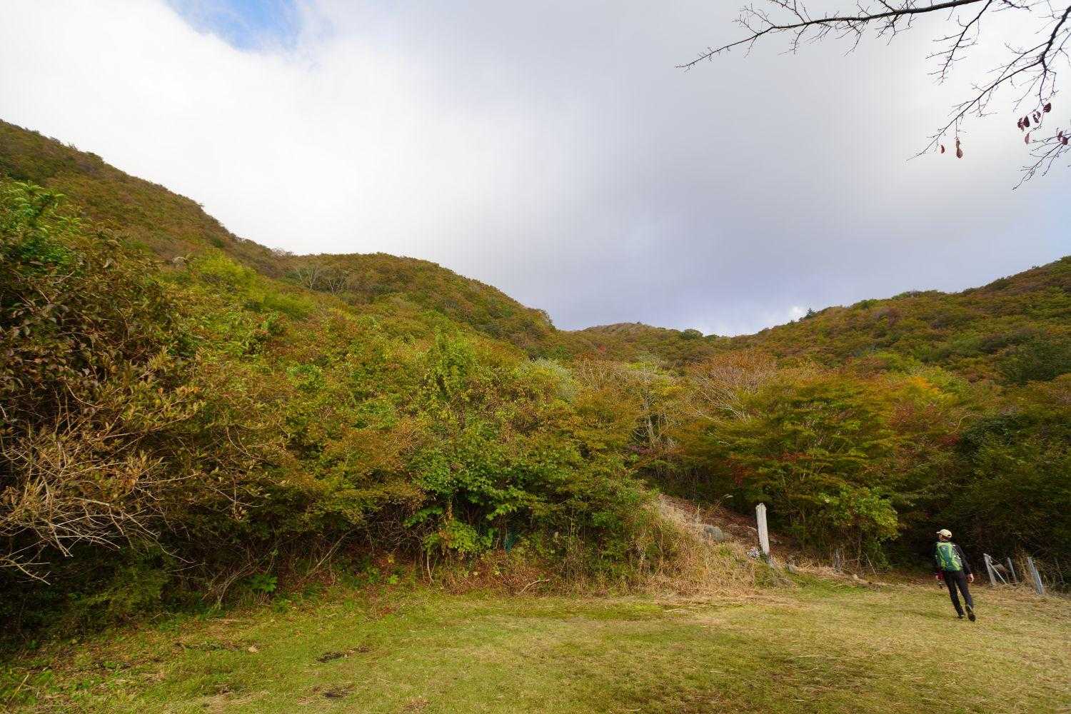 ここから登山道らしく。