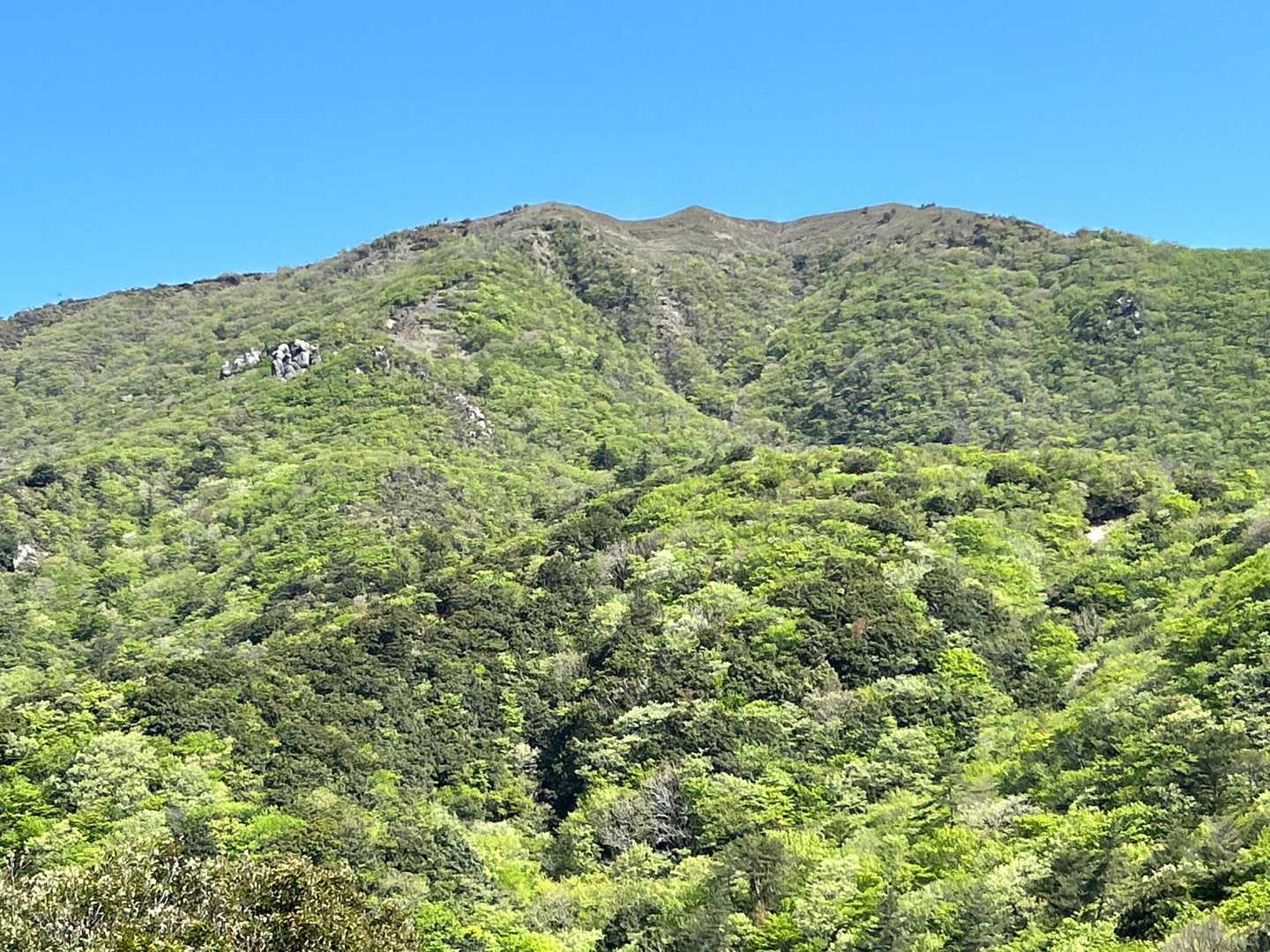 竜ケ岳方面，ピークはもっと奥です
