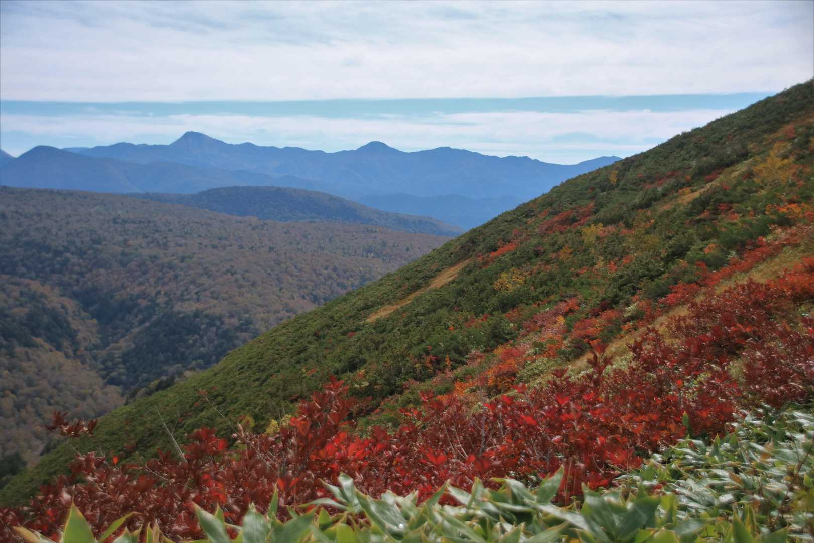 美しい✨

奥の左のとんがりは日光白根山