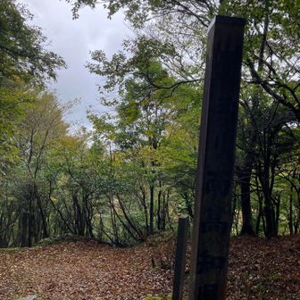 高知と愛媛の県境。ミドルはここからまだまだ進むみたい