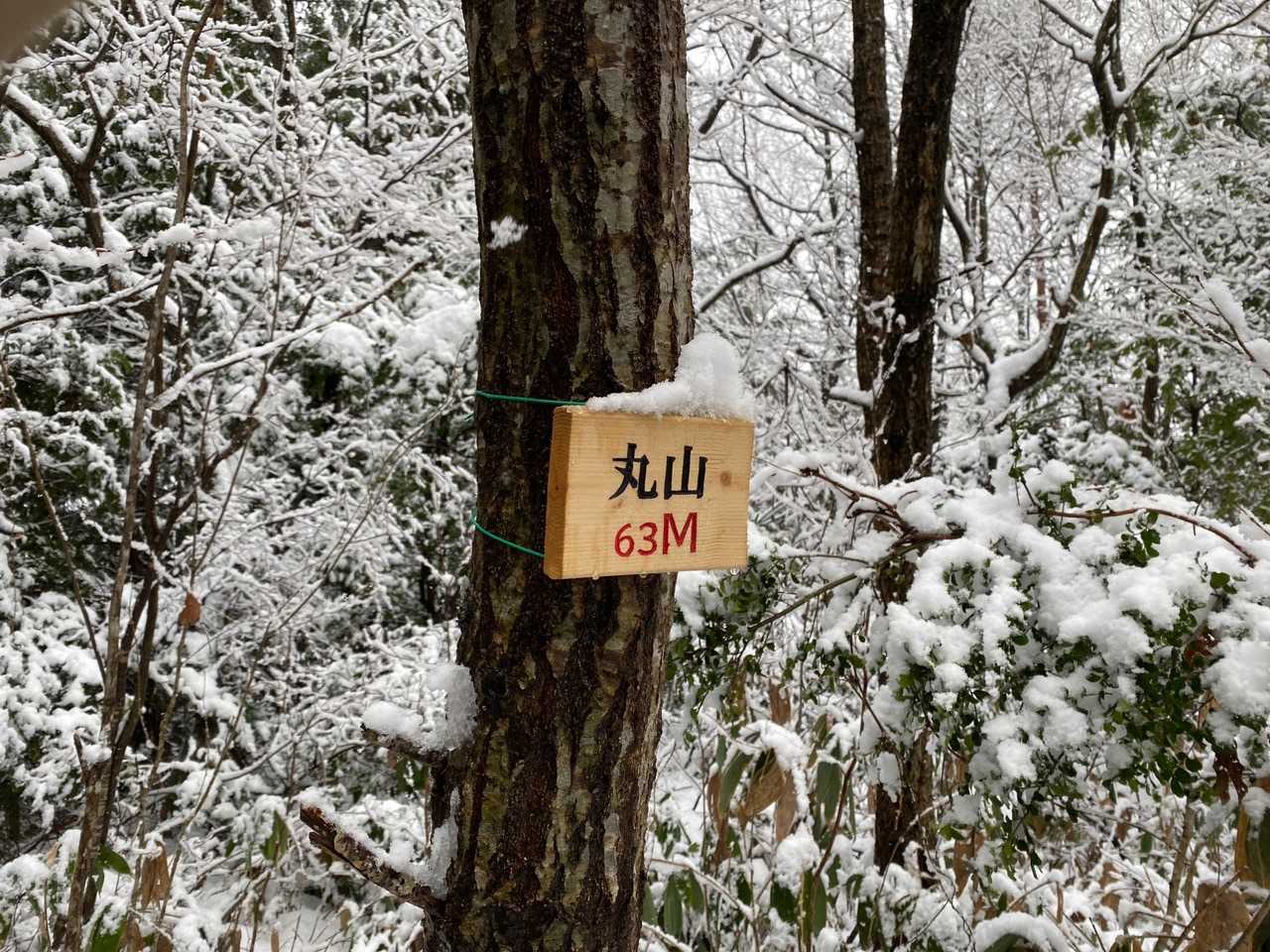 新しい山札