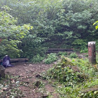 長助池分岐着。ここからいよいよ急登の開始。