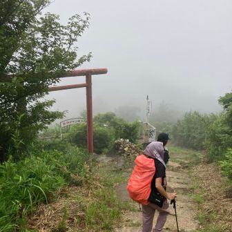 下りてきました〜