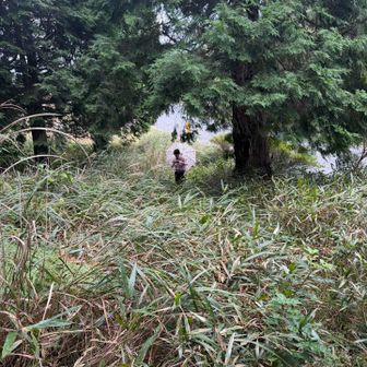 序盤から薮😵雨もポツリポツリ☔