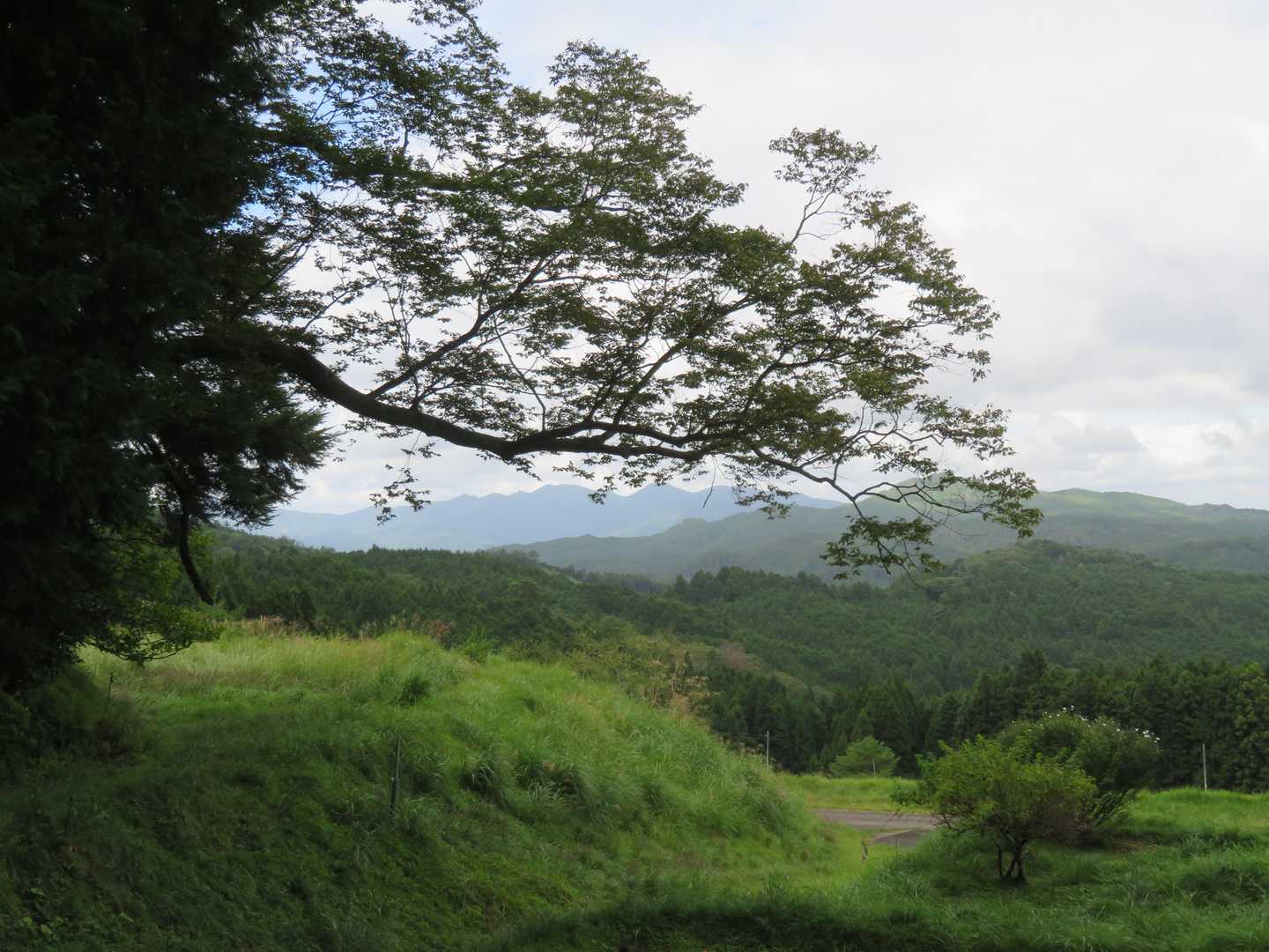 高城岳-三郎岳 周回コースの写真