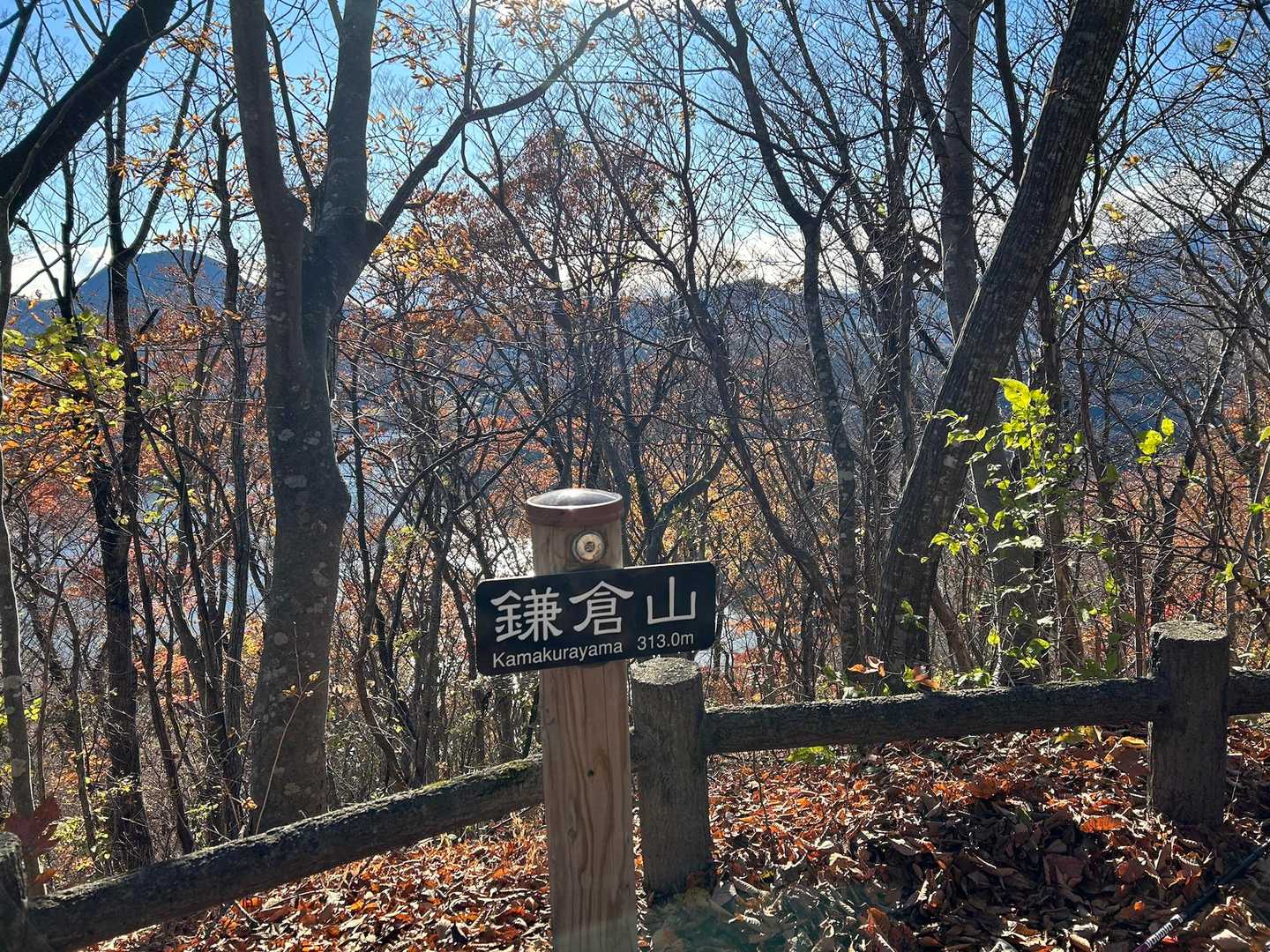 信楽寺跡登山口-松倉山-撫倉山-蜂倉山-鎌倉山-遂倉山-遂 縦走コースの写真