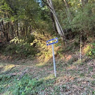 下山しました♪
この後大変なことになるとは…