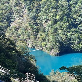 寸又峡の夢の大吊り橋が見えます。チンダル現象で綺麗な青🩵