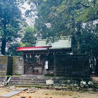 六所山手前の分岐のエイドには猿の太田さんが🌱
笑顔は振りまけないが、がんばれーの言葉は間違いなく力になってますm(_ _)m

Nikoはきつい時
仲間からのがんばれー1回につき
(気持ち悪いので 見えないところで)アザースの気持ちで顔面1発 思いっきりビンタいただいてます(￣∀￣)🫷

3声いただければ3発です

聴覚刺激をより強い
触覚刺激にエネルギー増幅変換

馬は鞭で叩けば早く走る🐎
ただそれだけのこと
